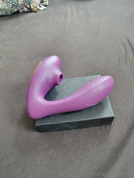 Foxhasshame onlyfans xxx