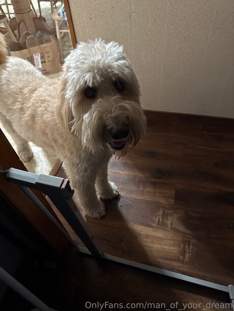 Man Of Your Dream onlyfans lean