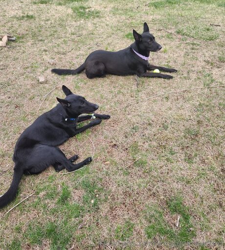 Kirstenkrawford naked only fans