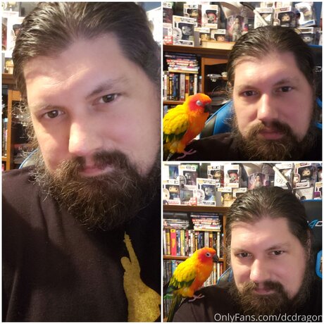 Dcdragon free only fans