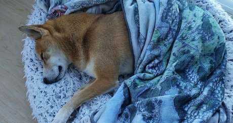 ccbunz only fans nude