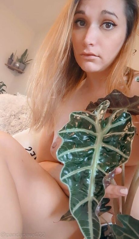 pandapaws022 onlyfans leaked dirtyship