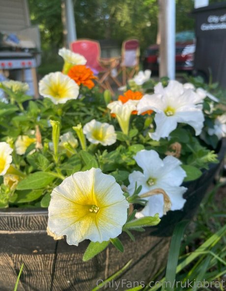 rukiabrat naked onlyfans leaked