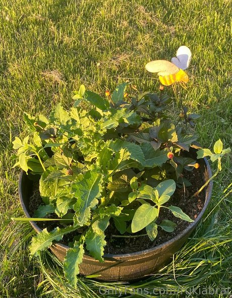 rukiabrat free onlyfans porn