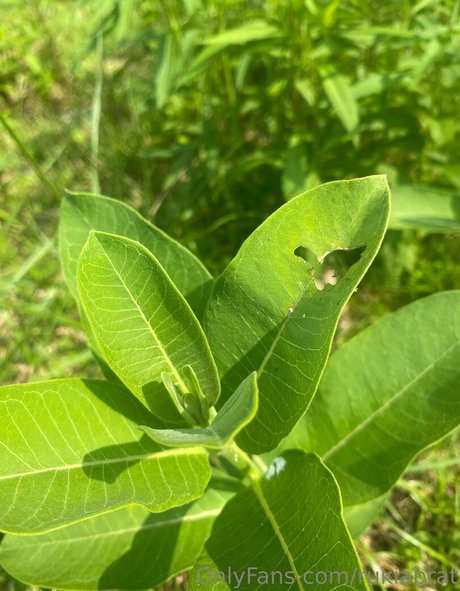 rukiabrat leaked onlyfans