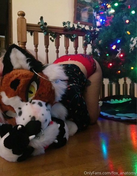 fox anatomy onlyfans explicit content