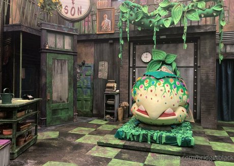 bridgetblack Profile pic