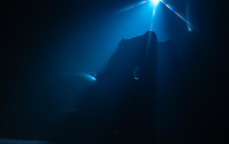 Anais Dior Palacios onlyfans porn