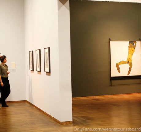 viennatouristboard onlyfans leaked dirtyship