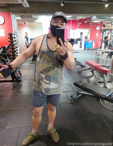 largedogcollar naked on onlyfans