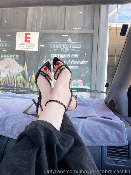 Libnyjesecabralcastillo onlyfans pictures