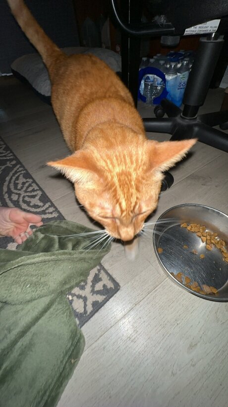 Liilwitch onlyfans model images