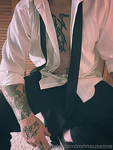 Mrmouseone nude onlyfans