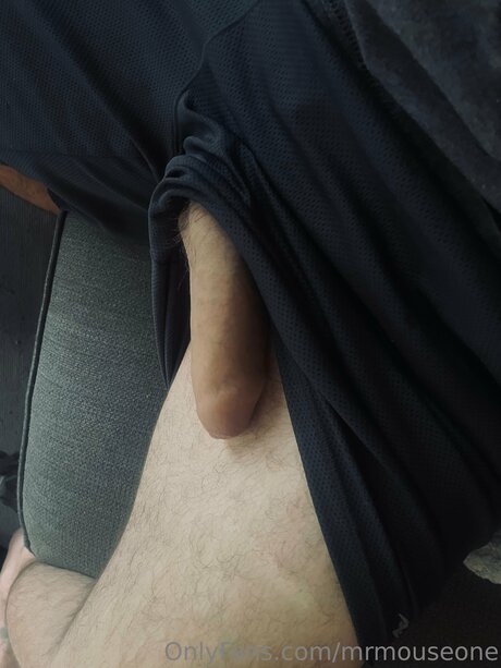 Mrmouseone leaked onlyfans naked