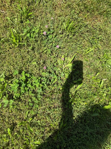 Amaraevermore naked only fans