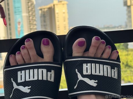 Discotacos onlyfans free content