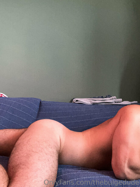 Thebulgedude leaked onlyfans sex