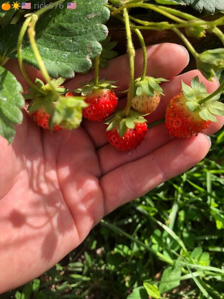 Rick676 onlyfans tits