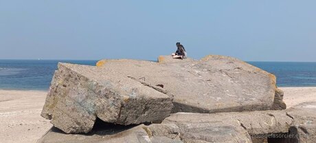 Poilsdesorcier Efree nude onlyfans leaks