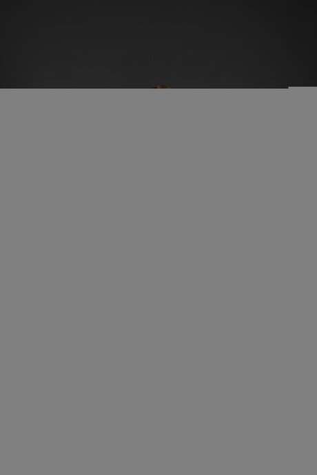 Funkymefree onlyfans leak sex