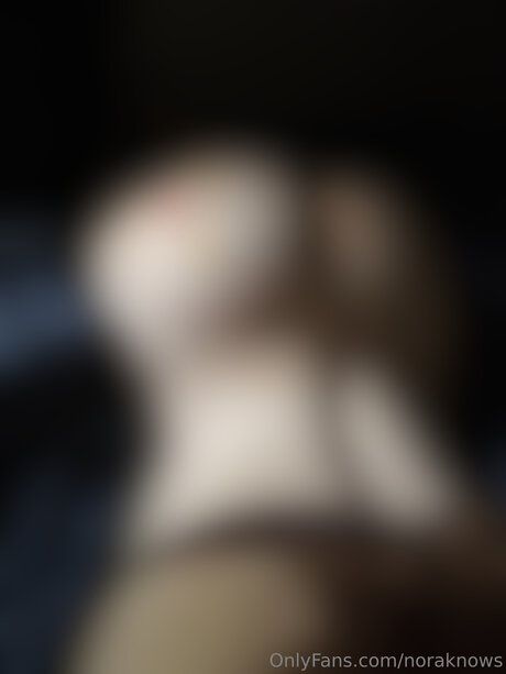 Noraknows nude onlyfans leaked