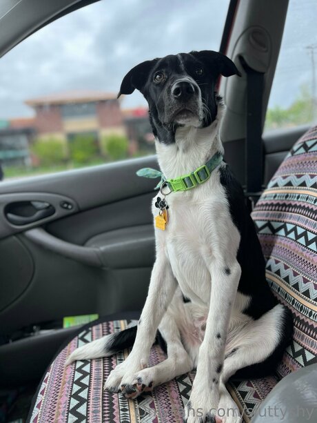 Sluttyshy nude leaks onlyfans