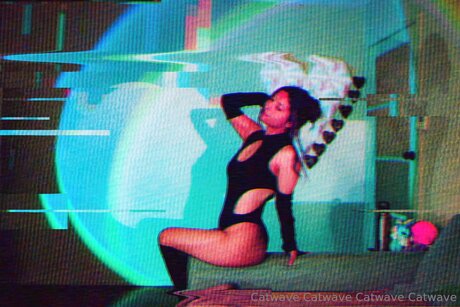 Catwave free onlyfans
