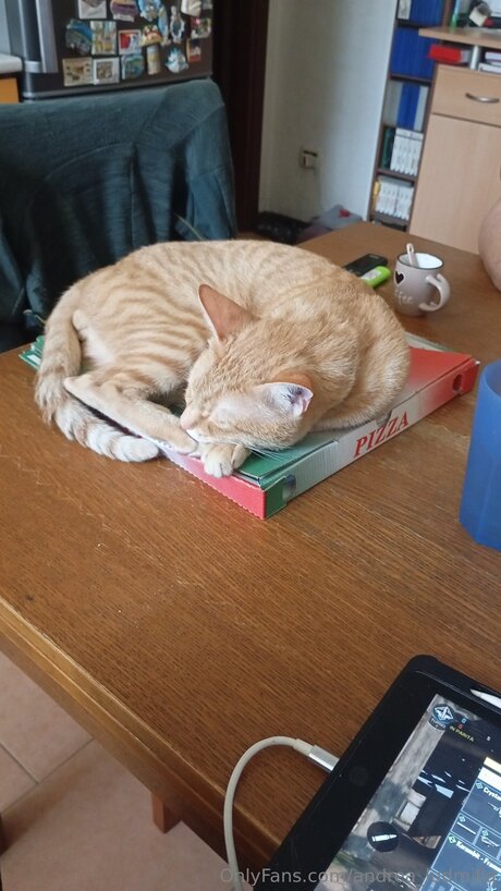 Andrea Ludmilla leak onlyfans