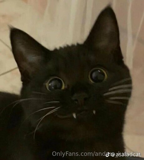 Andrea Ludmilla onlyfans leak nude