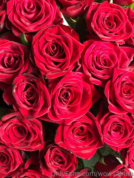 Wowsabina onlyfans leak porn