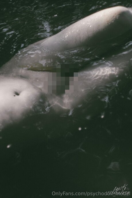 Psychodoll Model leaked onlyfans