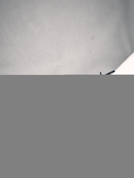 Rholdphoto leaked onlyfans