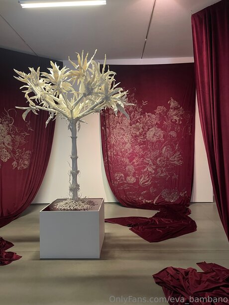 Eva Bambano onlyfans xxx