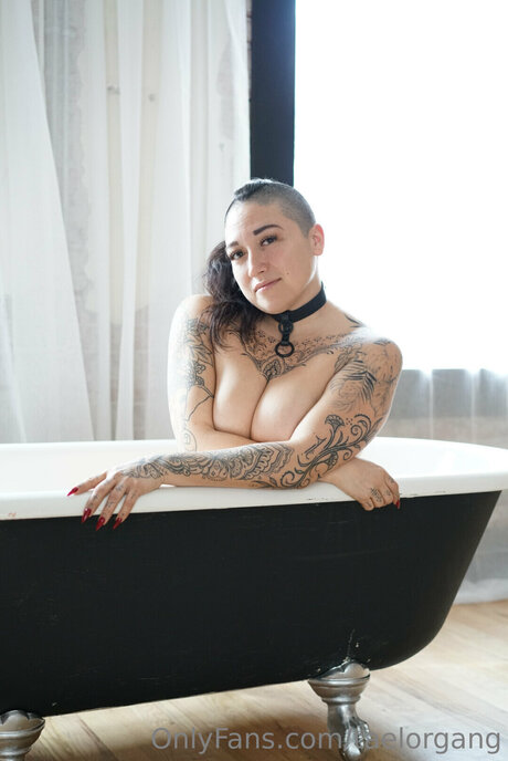 Taelorgang onlyfans page