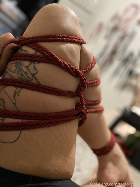 Taelorgang nude onlyfans