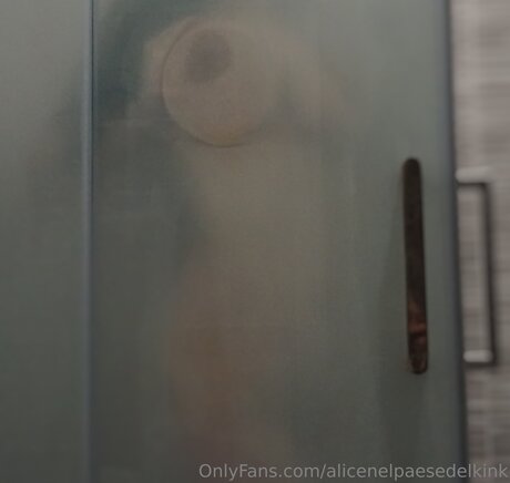 Alicenelpaesedelkink onlyfans leaked tits