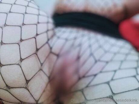Alicenelpaesedelkink onlyfans creator