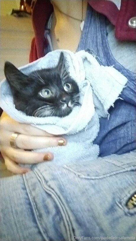 Padelleinsalamoia onlyfans nude content