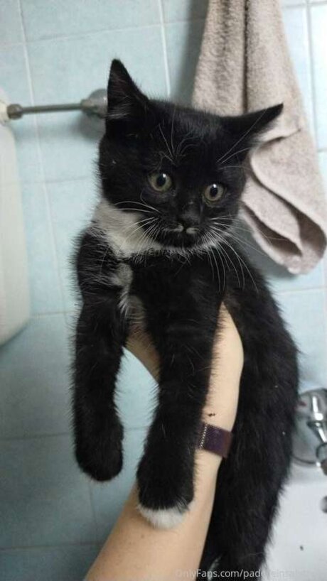 Padelleinsalamoia onlyfans photo