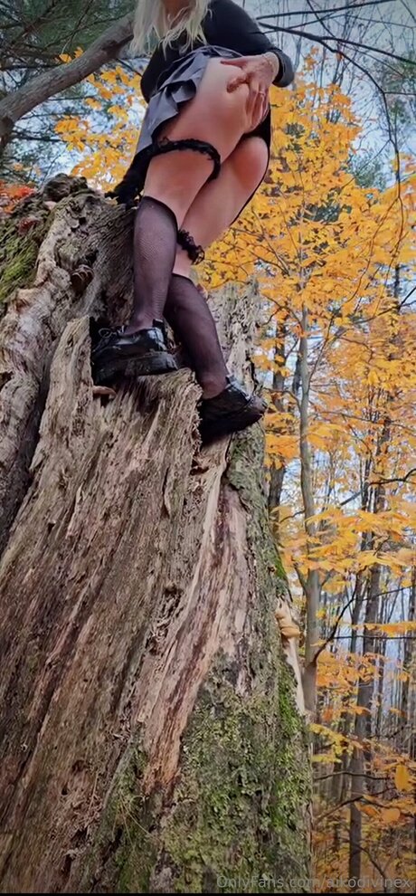 Aikodivinex onlyfans pics