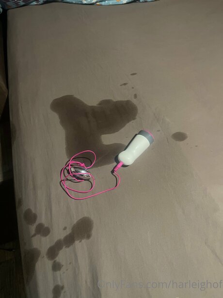 Harleighof onlyfans leaks naked