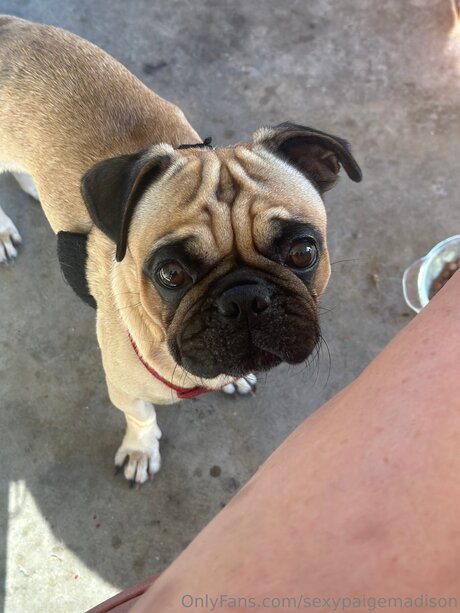 Sexypaigemadison onlyfans.