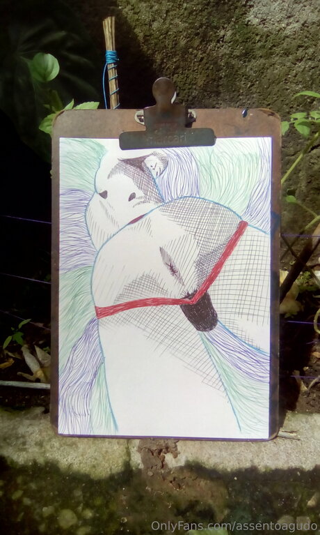 Assentoagudo xxx onlyfans