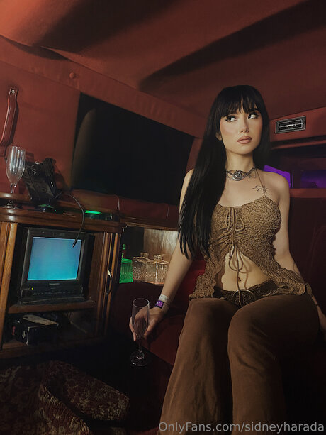 Sidneyharada onlyfans nude leak