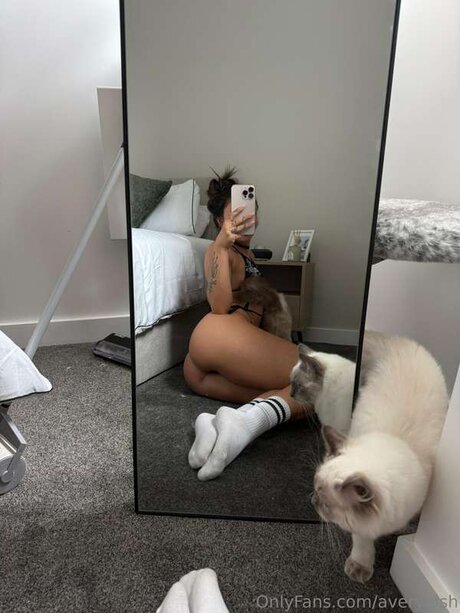 Averyelsh onlyfans lesk