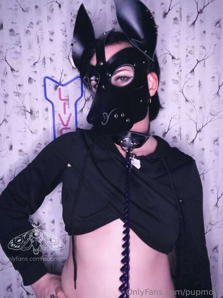 Pupmoth onlyfans pics