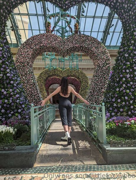 Littlefoxxyboo only fans pic