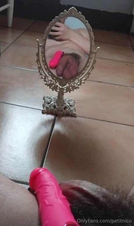 Petitnico Profile pic