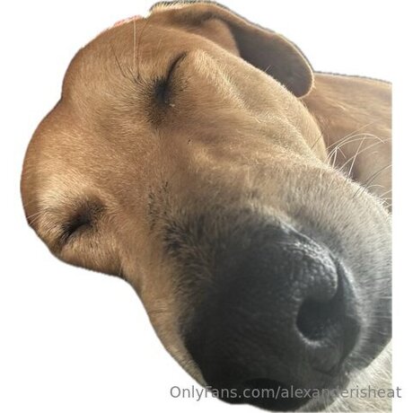 Alexanderisheat onlyfans post