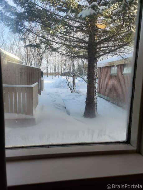 Braisportelam onlyfans sex tape